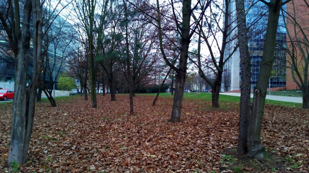 2015-1215 foto pozemek - 52
